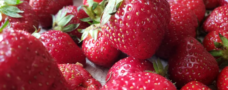 Tavaszi varázslat a tányéron: epres receptek, amiket ki kell próbálnod