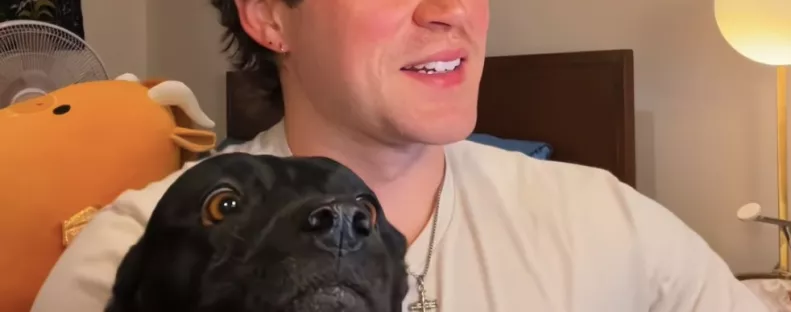 DNS-tesztre vitte a furcsa kutyáját a férfi: az eredmény lepadlózta