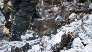 Sokkoló erőszak Győr közelében: saját sírját ásatta meg élettársával egy férfi