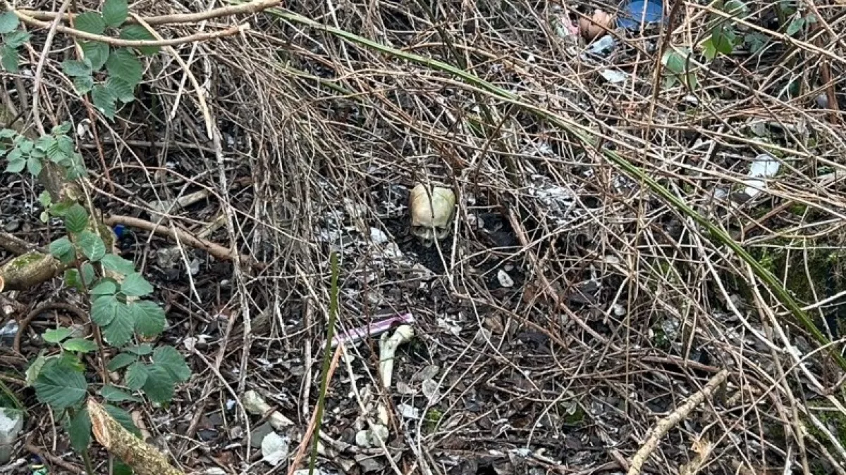 Emberi koponyát talált két férfi egy játszótéren - Közleményt adott ki a rendőrség