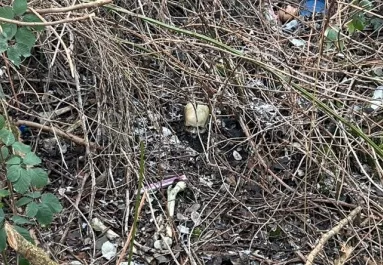 Emberi koponyát talált két férfi egy játszótéren - Közleményt adott ki a rendőrség