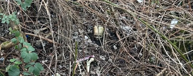 Emberi koponyát talált két férfi egy játszótéren - Közleményt adott ki a rendőrség