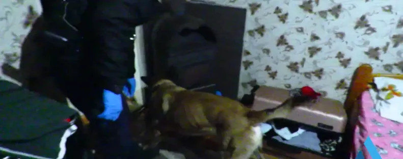 Benézett a kutya a kályhába és megpecsételődött a két szabolcsi férfi sorsa