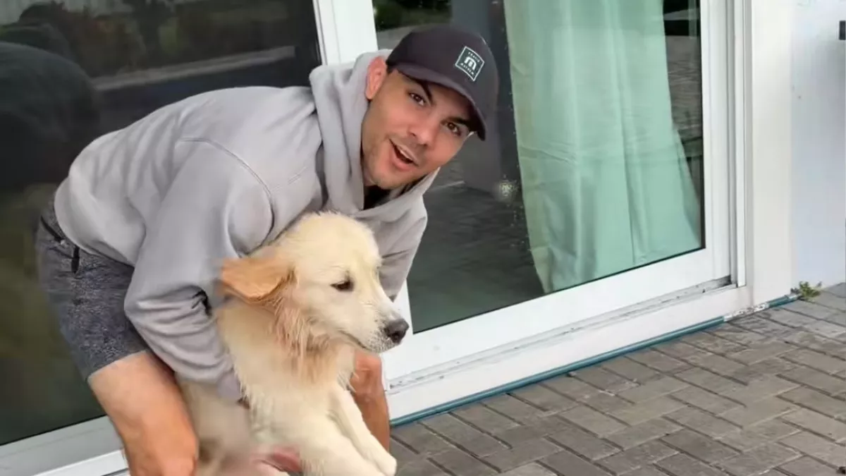 Ki akarja hozni a golden retrievert a medencéből Emma férje: ami ezután történik, azon milliók nevetnek