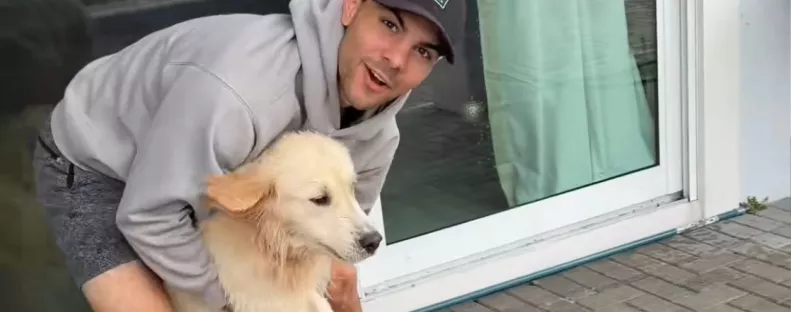 Ki akarja hozni a golden retrievert a medencéből Emma férje: ami ezután történik, azon milliók nevetnek