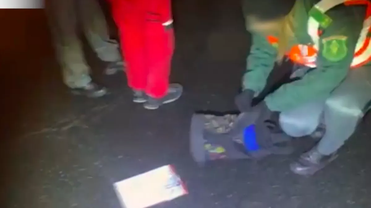 Kinyitották a kamion ajtaját a pénzügyőrök az M7-esen: a fülke azonnal lebuktatta a magyar sofőrt