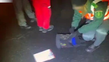 Kinyitották a kamion ajtaját a pénzügyőrök az M7-esen: a fülke azonnal lebuktatta a magyar sofőrt