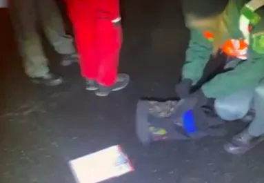 Kinyitották a kamion ajtaját a pénzügyőrök az M7-esen: a fülke azonnal lebuktatta a magyar sofőrt