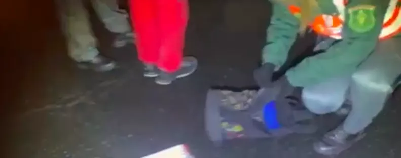 Kinyitották a kamion ajtaját a pénzügyőrök az M7-esen: a fülke azonnal lebuktatta a magyar sofőrt