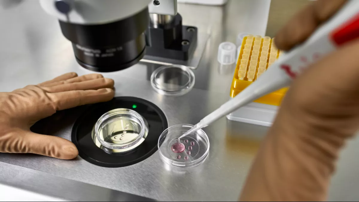 Lombikbébi program után: amikor meglátta a babát, azonnal DNS-tesztet követelt