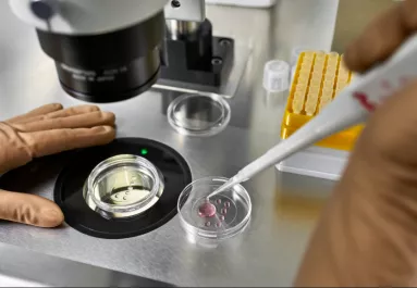 Lombikbébi program után: amikor meglátta a babát, azonnal DNS-tesztet követelt