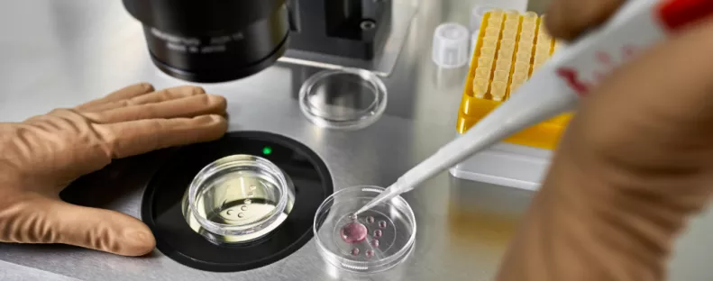 Lombikbébi program után: amikor meglátta a babát, azonnal DNS-tesztet követelt