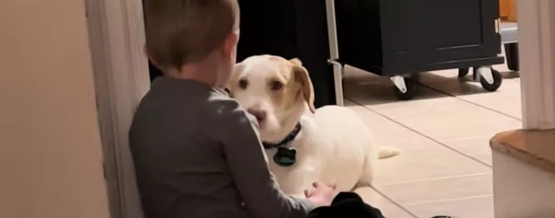 Elszökött a kutya: amit a kisfiú mond neki, amikor visszatér, megolvasztja a szíveket