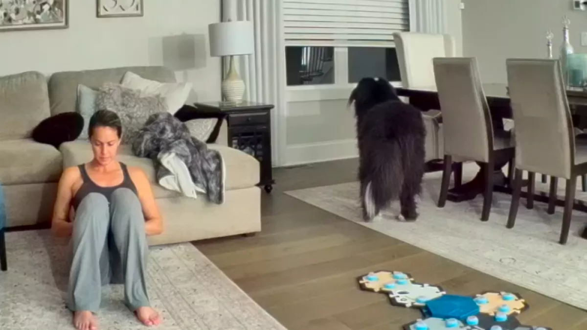 Észreveszi a kutya, hogy veszélyben van a macska: amit ezután tesz, lenyűgöző