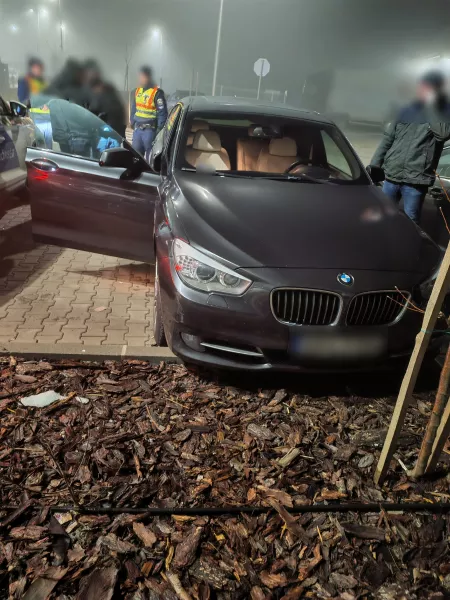 drog, játék, hollandia, 