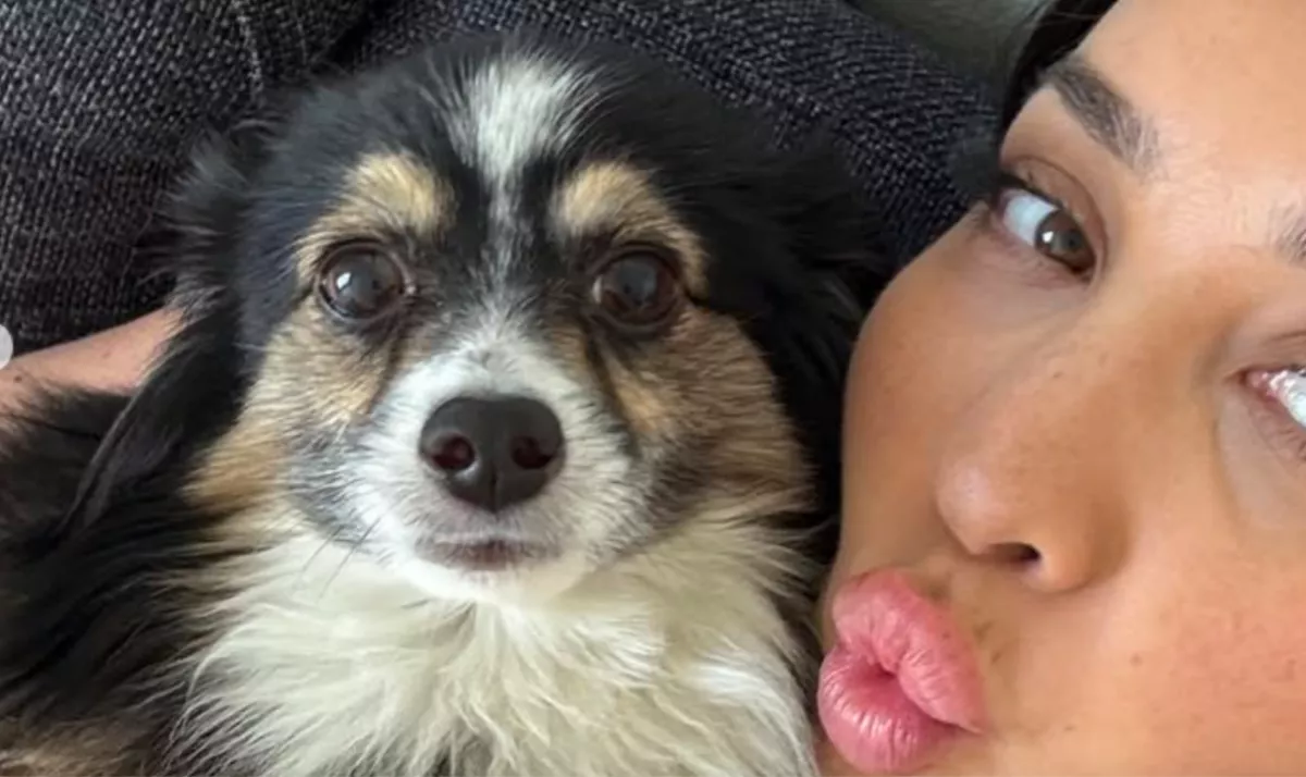 Eltűnt a kutyája: a nő sokkot kap, amikor meglátja, ki osztotta meg a bejegyzését