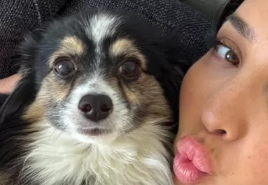 Eltűnt a kutyája: a nő sokkot kap, amikor meglátja, ki osztotta meg a bejegyzését