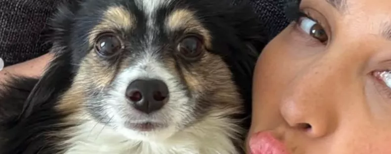 Eltűnt a kutyája: a nő sokkot kap, amikor meglátja, ki osztotta meg a bejegyzését