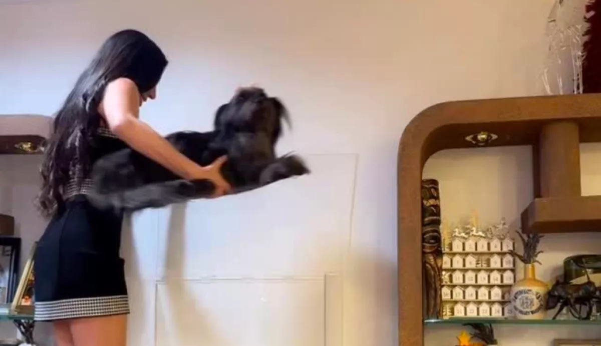 Sokkoló, mit tett az influenszer a halott kutyájával