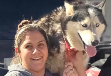 Leolvasták a kutya mikrochipjét a megmentői és rögtön elállt a lélegzetük