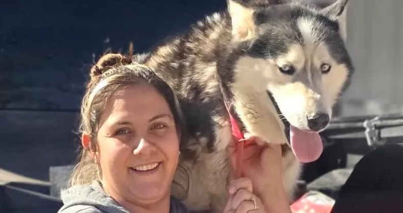 Leolvasták a kutya mikrochipjét a megmentői és rögtön elállt a lélegzetük