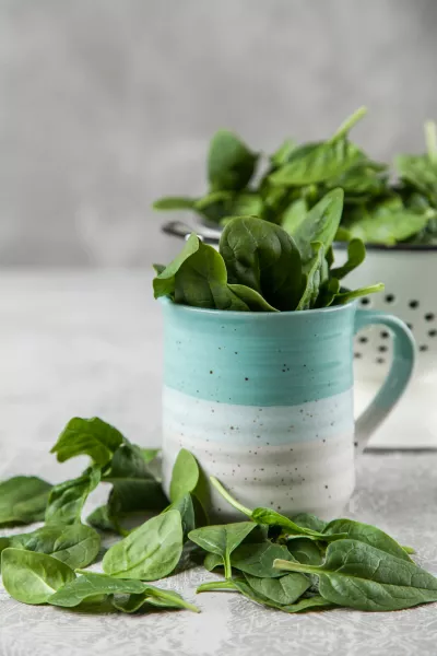 egészség, ételek, bőr, öregedés, tipp, 