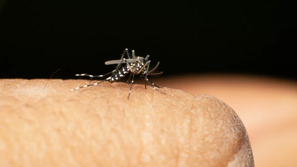 Riadót fújnak a hatóságok: egy 59 éves magyar nő is elkapta veszélyes vírust