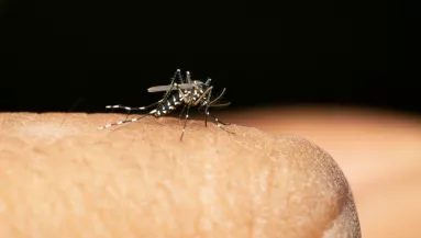 Riadót fújnak a hatóságok: egy 59 éves magyar nő is elkapta veszélyes vírust