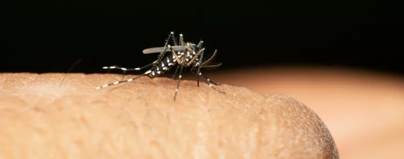 Riadót fújnak a hatóságok: egy 59 éves magyar nő is elkapta veszélyes vírust