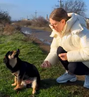 Furcsán ül a kutya az út szélén: amikor a nő közelebb megy, megszakad a szíve