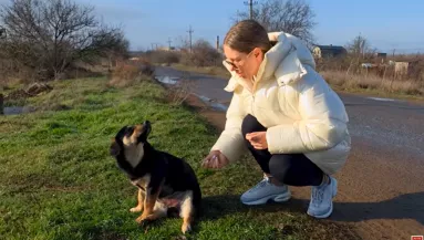 Furcsán ül a kutya az út szélén: amikor a nő közelebb megy, megszakad a szíve