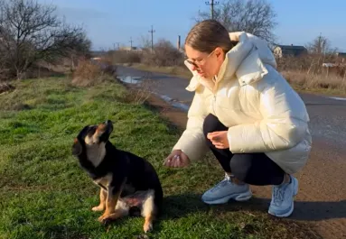 Furcsán ül a kutya az út szélén: amikor a nő közelebb megy, megszakad a szíve