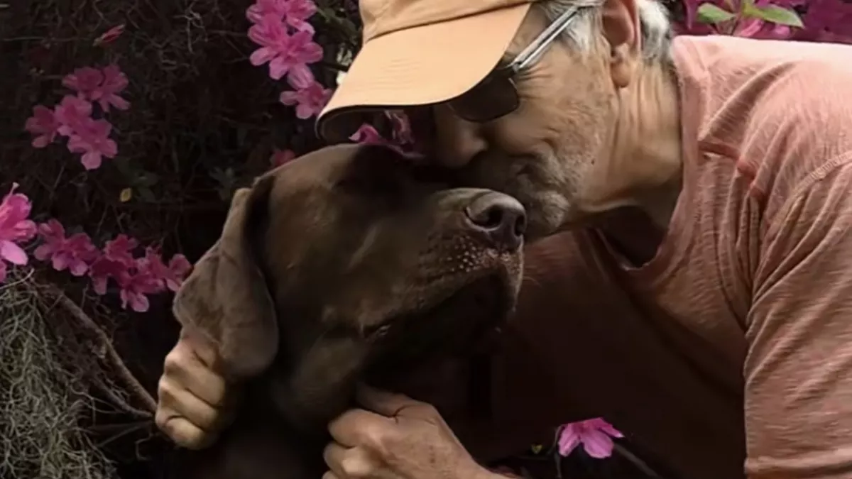 Szomorú volt a bácsi, a lányai kutyával lepték meg: ami ezután történt, csoda