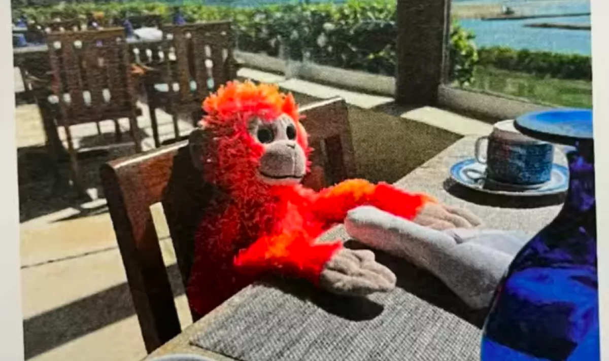 Elvesztette a kisfiú a nyaralásán a plüssét: amit a szálloda tesz, zseniális