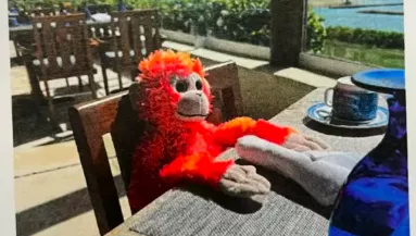 Elvesztette a kisfiú a nyaralásán a plüssét: amit a szálloda tesz, zseniális