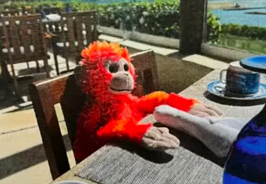 Elvesztette a kisfiú a nyaralásán a plüssét: amit a szálloda tesz, zseniális