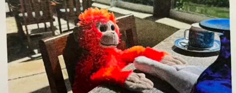 Elvesztette a kisfiú a nyaralásán a plüssét: amit a szálloda tesz, zseniális