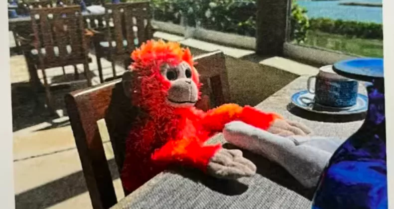 Elvesztette a kisfiú a nyaralásán a plüssét: amit a szálloda tesz, zseniális