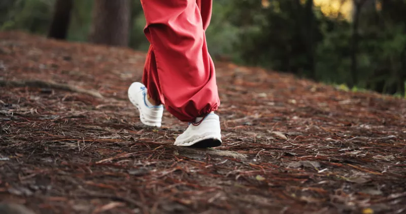 fogyás, diéta, egészség, tippek, dél, teendők,