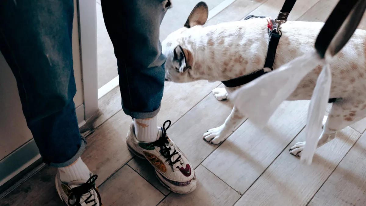 Bekopogott az idős nőhöz Zsolt a Párkány utcában: majd bicskanyitogató dolgot tett