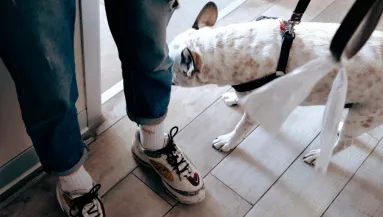 Bekopogott az idős nőhöz Zsolt a Párkány utcában: majd bicskanyitogató dolgot tett