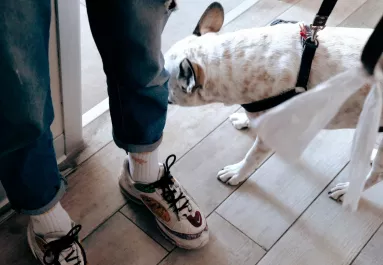 Bekopogott az idős nőhöz Zsolt a Párkány utcában: majd bicskanyitogató dolgot tett