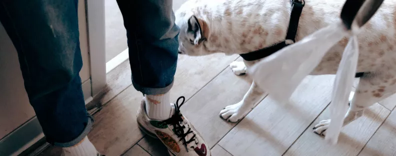 Bekopogott az idős nőhöz Zsolt a Párkány utcában: majd bicskanyitogató dolgot tett