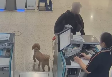 Kutyával akart utazni a nő: amit ezután tesz, összetöri a szíveket