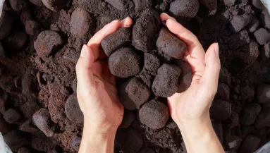 Ezért tegyél kávézaccot a WC-be mielőtt nyaralni mész