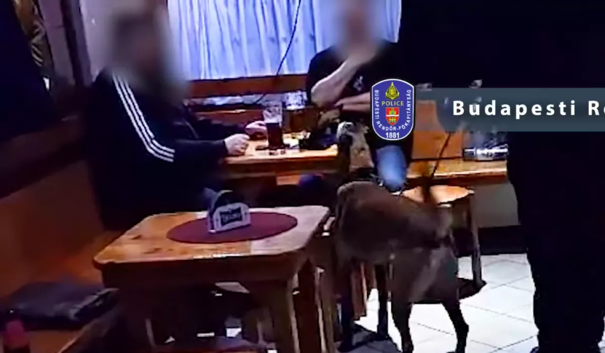 Viktor és Attila törzshelyét bezárták a zsaruk: és ehhez közük van