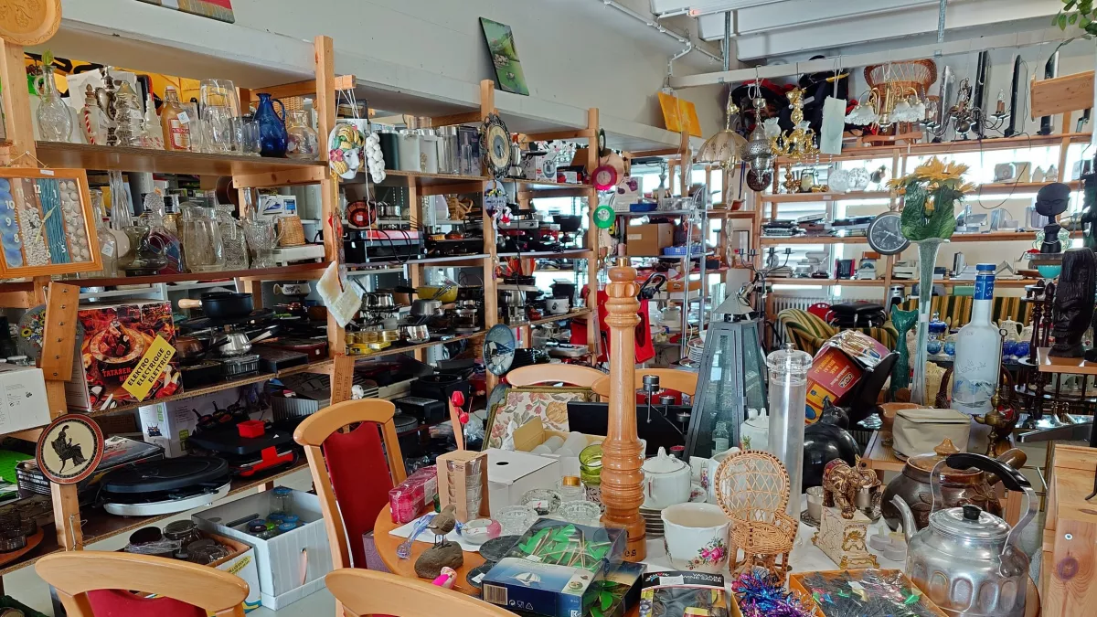 3000 ezerért vett egy plüsst a turkálóban a férfi: amikor megtudta, mennyit ér, padlót fogott