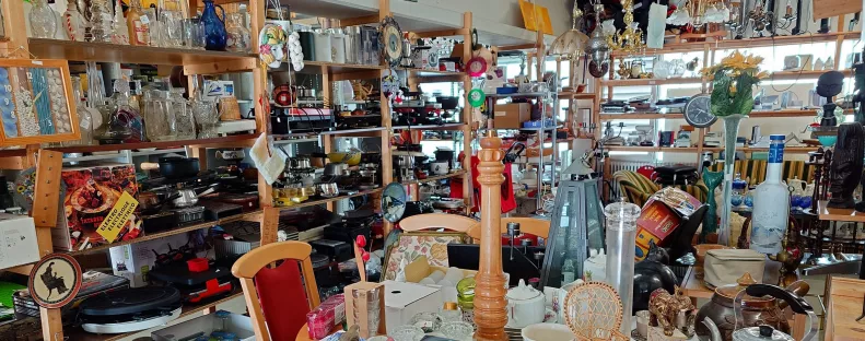 3000 ezerért vett egy plüsst a turkálóban a férfi: amikor megtudta, mennyit ér, padlót fogott