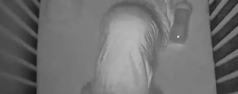 Éjszaka vándorolt el a baba kiságya: amikor az anya megnézte a kamerát, leesett az álla