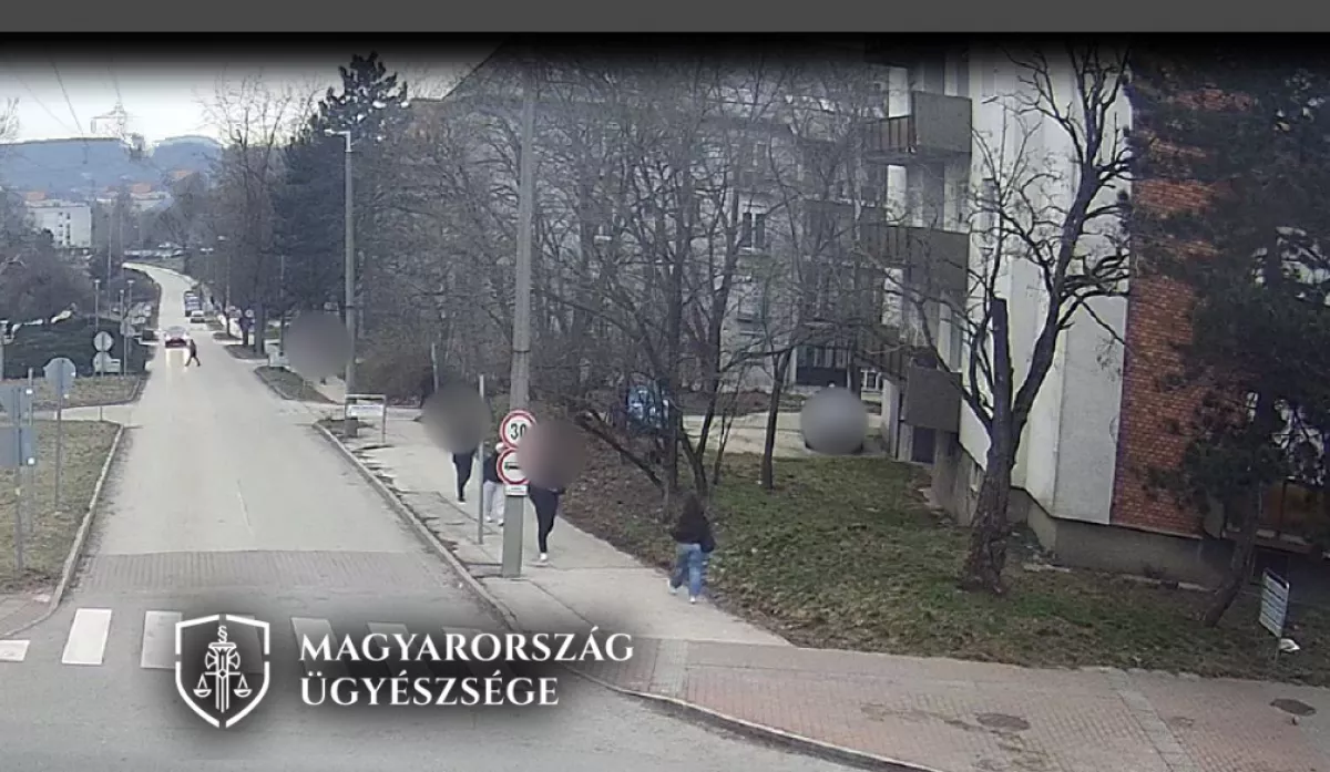 Odaugrott a 20 éves srác a 76 éves nénihez Tatabányán: borzalom, amit ezután tett